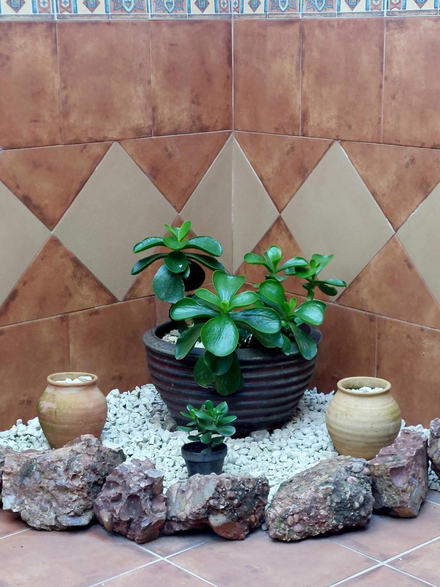 La Plazuela, Casa Andaluza Con Patio. Διαμέρισμα Μοντόρο Εξωτερικό φωτογραφία